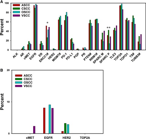 Comparative molecular profiling of HPV-induced squamous cell carcinomas