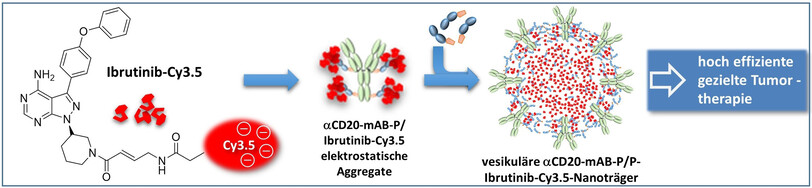 Tumorzellspezifisches Targeting von Ibrutinib: Einführung von elektrostatischen Antikörper-Inhibitor-Konjugaten (AiCs)