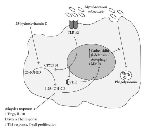 Details are in the caption following the image