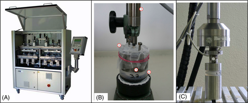 Details are in the caption following the image Details are in the caption following the image
