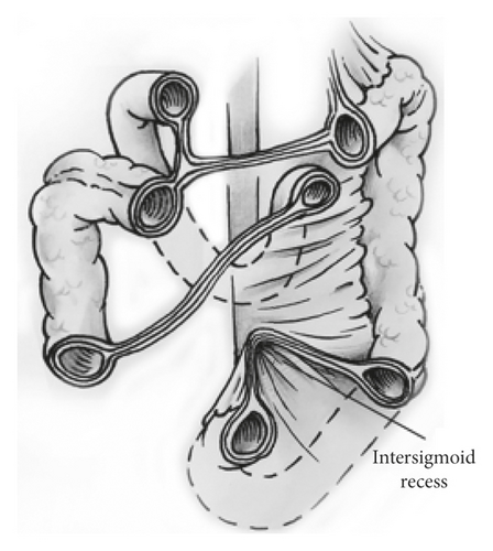 Details are in the caption following the image Details are in the caption following the image