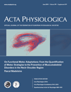 On Functional Motor Adaptations: From the Quantification of Motor Strategies to the Prevention of Musculo‐skeletal Disorders in the Neck‐Shoulder Region cover image