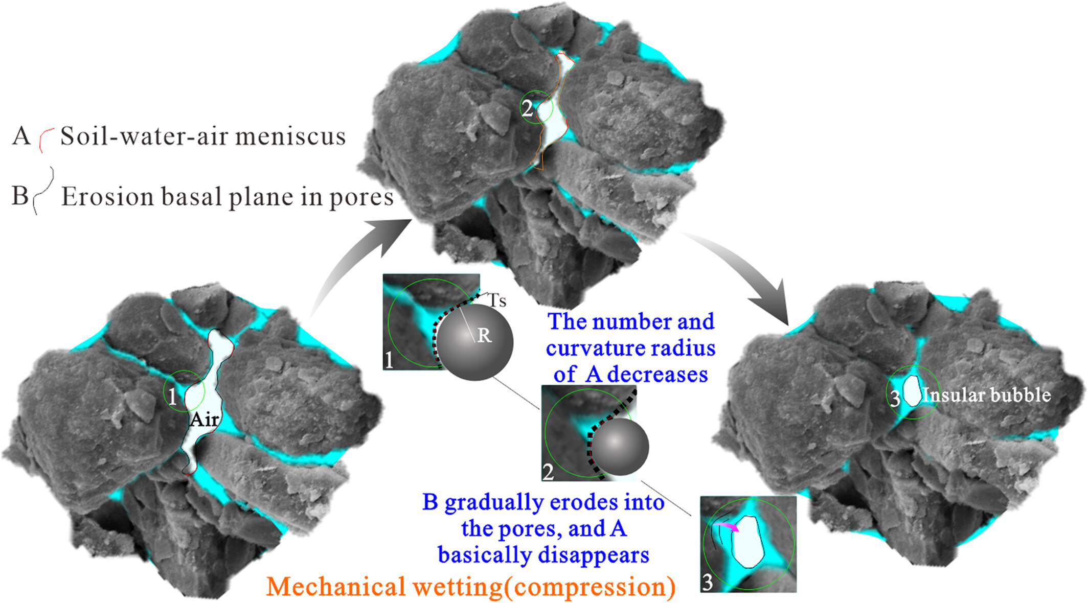 Investigating encroachment behaviour of pore water on pore structure of unsaturated loess using continuous NMR technique