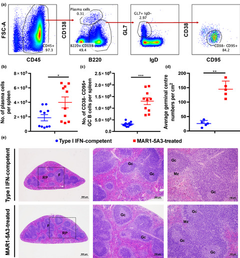 Type I interferon shapes the quantity and quality of the anti-Zika virus antibody response