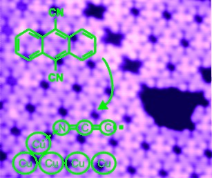 A Surface Coordination Network Based on Substrate-Derived Metal Adatoms with Local Charge Excess