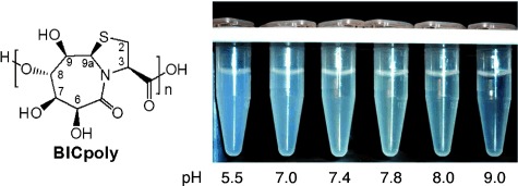 Regioselective Ring-Opening Polymerization of a Polyhydroxycarboxylic Acid for the Synthesis of a Nanoscale Carrier Material with pH-Dependent Stability and Sustained Drug Release