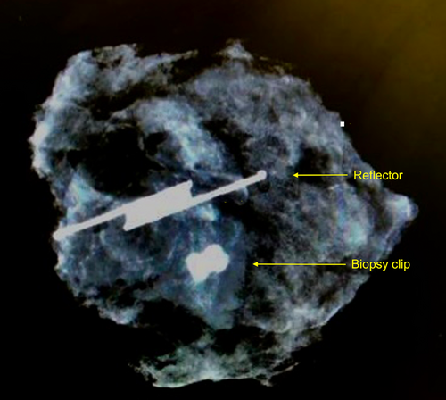 Details are in the caption following the image