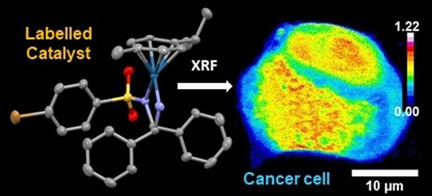 Tracking Reactions of Asymmetric Organo-Osmium Transfer Hydrogenation Catalysts in Cancer Cells