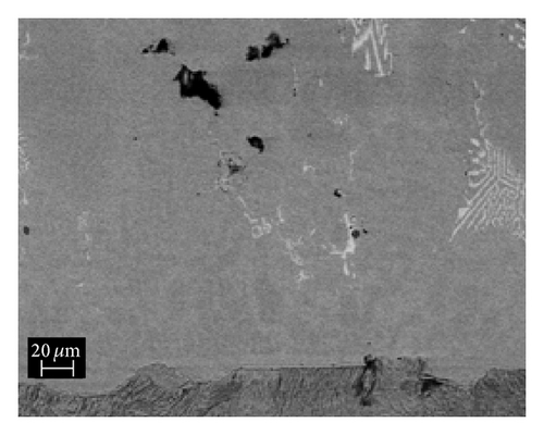 Details are in the caption following the image