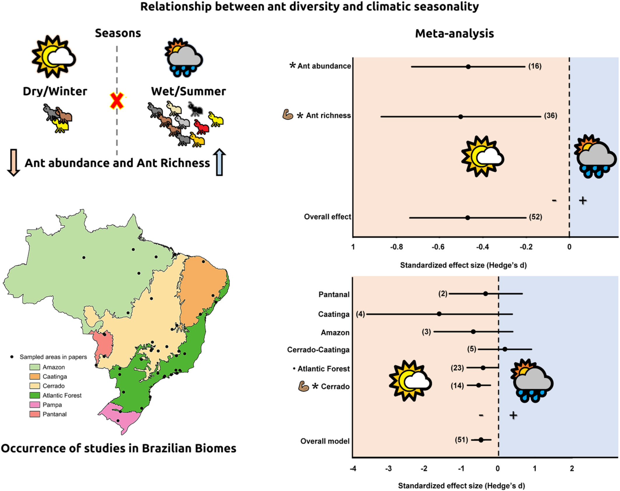 Ant diversity decreases during the dry season: A meta-analysis of the effects of seasonality on ant richness and abundance