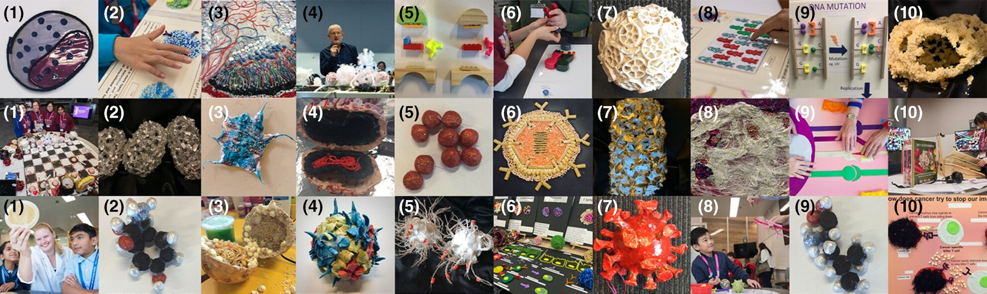 Art, science and inclusion: multisensory Sciart of immunology for blind, low-vision and diverse-needs audiences