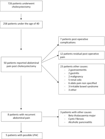 Searching for low phospholipid associated cholelithiasis among patients with post-cholecystectomy biliary pain