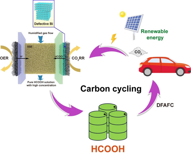 Concentrated Formic Acid from CO2 Electrolysis for Directly Driving Fuel Cell