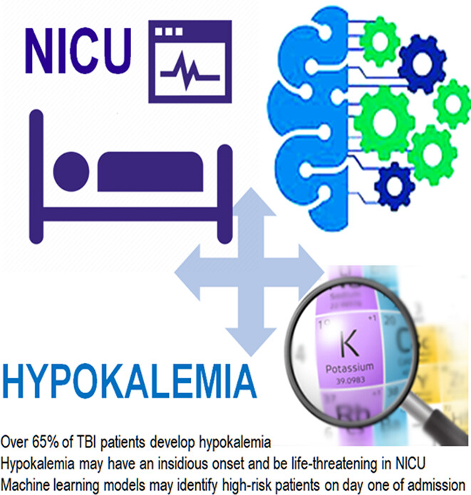Prediction of in-hospital hypokalemia using machine learning and first hospitalization day records in patients with traumatic brain injury