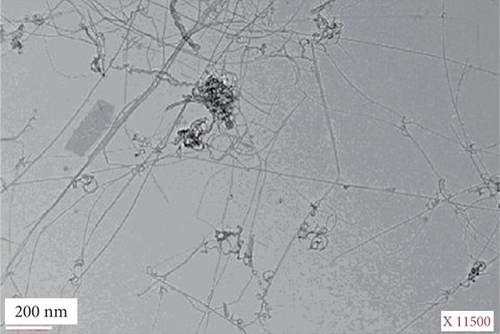 Details are in the caption following the image
