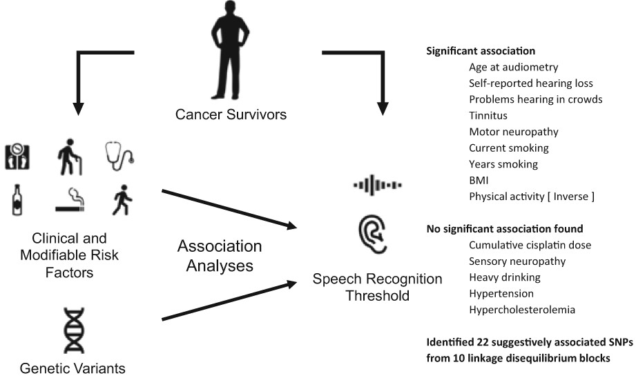 Comprehensive association analysis of speech recognition thresholds after cisplatin-based chemotherapy in survivors of adult-onset cancer