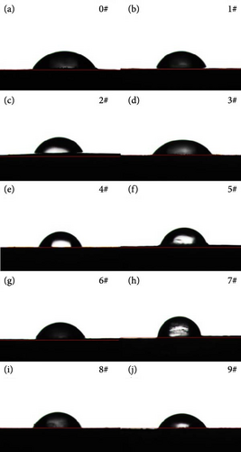 Details are in the caption following the image Details are in the caption following the image