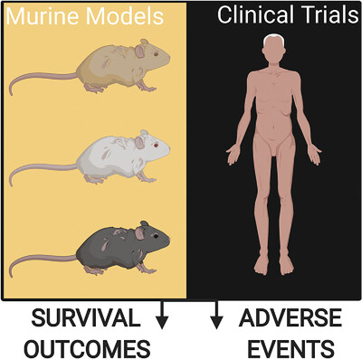 Aging and immunotherapies: New horizons for the golden ages