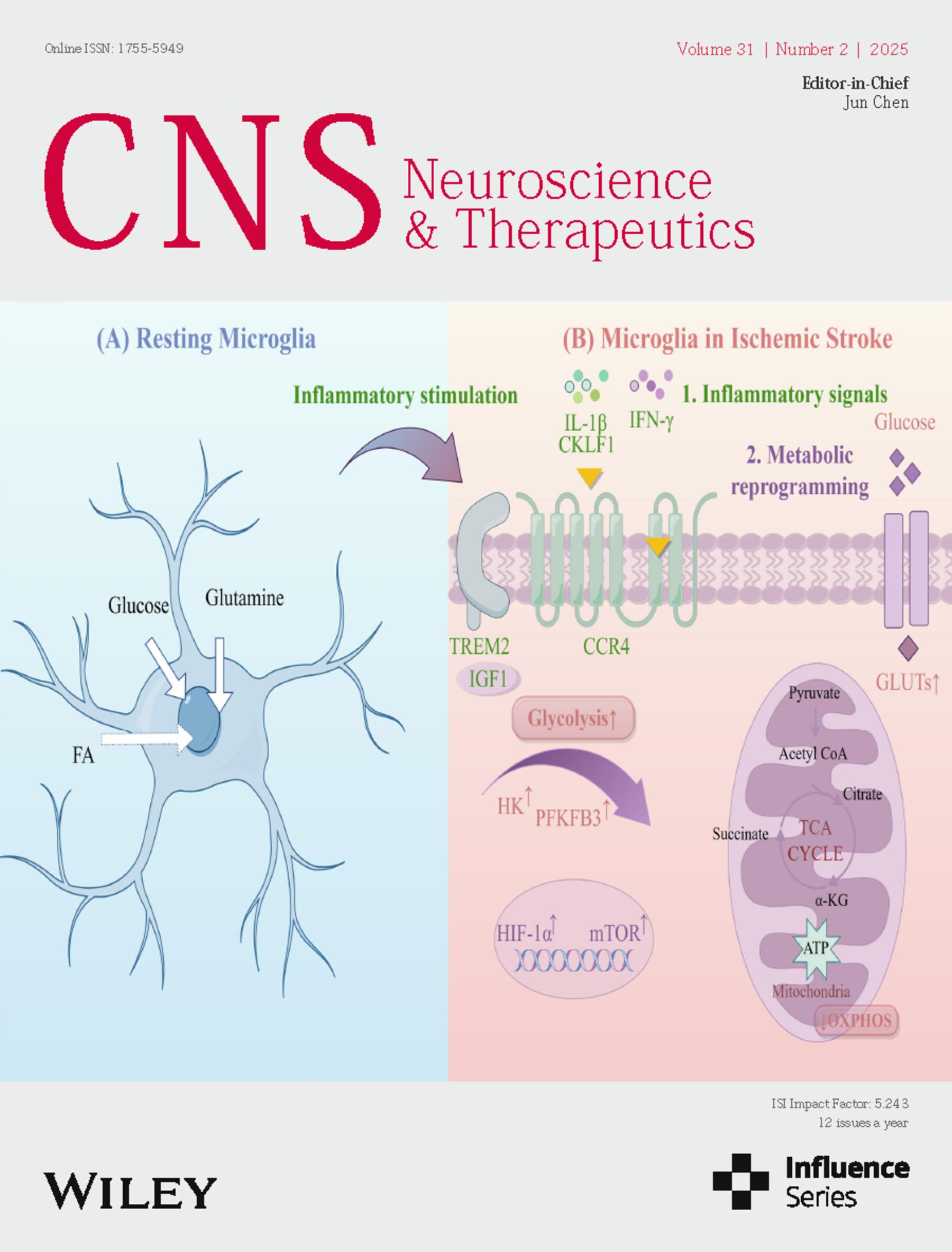 Front Cover Volume 31 Issue 2, 2025
