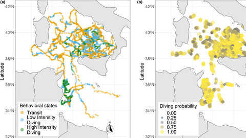 Movement patterns of large juvenile loggerhead turtles in the Mediterranean Sea: Ontogenetic space use in a small ocean basin