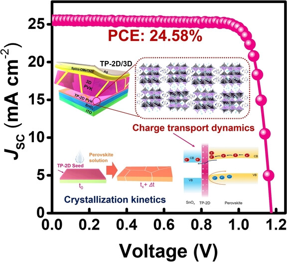 Regulating Charge Transport Dynamics at the Buried Interface and Bulk of Perovskites by Tailored-phase Two-dimensional Crystal Seed Layer