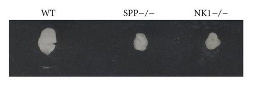 Details are in the caption following the image