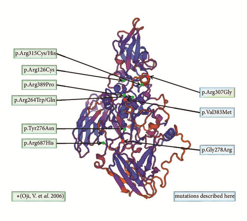Details are in the caption following the image