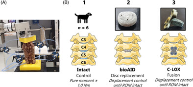 Biomechanical evaluation of a novel biomimetic artificial intervertebral disc in canine cervical cadaveric spines