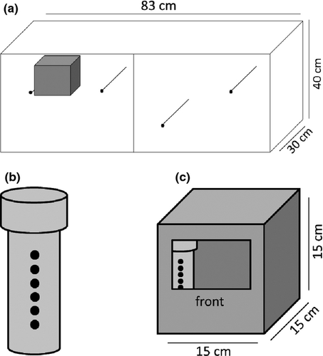 Details are in the caption following the image Details are in the caption following the image