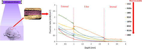 Modeling the efficiency of UV at 254 nm for disinfecting the different layers within N95 respirators