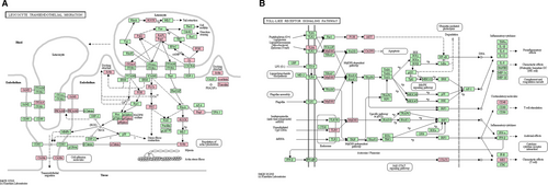 Details are in the caption following the image Details are in the caption following the image