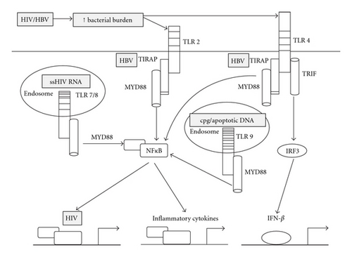 Details are in the caption following the image