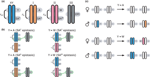 Details are in the caption following the image Details are in the caption following the image
