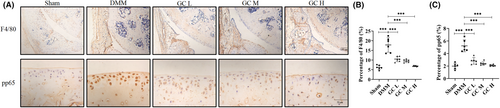 Details are in the caption following the image Details are in the caption following the image