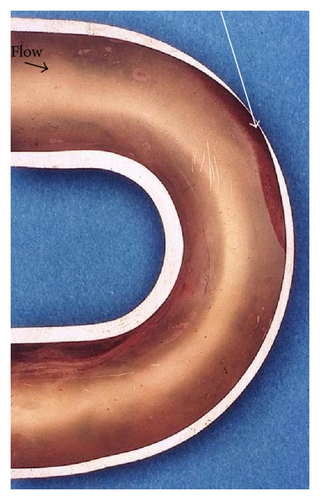Details are in the caption following the image