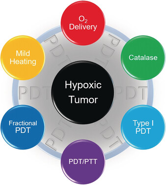 Innovative Strategies for Hypoxic-Tumor Photodynamic Therapy