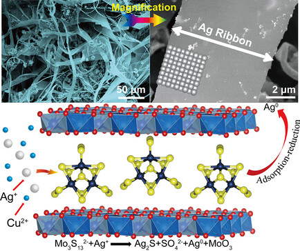 Mo3S132− Intercalated Layered Double Hydroxide: Highly Selective Removal of Heavy Metals and Simultaneous Reduction of Ag+ Ions to Metallic Ag0 Ribbons