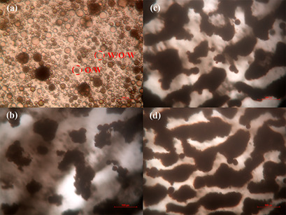 Tertiary Amine-Naphthenic Acid Self-Assembled Surfactants for Viscosity Reduction of Crude Oil