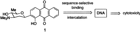 Artificial Anthraquinone–Carbohydrate Hybrids: Design, Synthesis, DNA Binding, and Cytotoxicity
