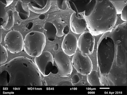 Fixed-Bed Adsorption of Allura Red Dye on Chitosan/Polyurethane Foam