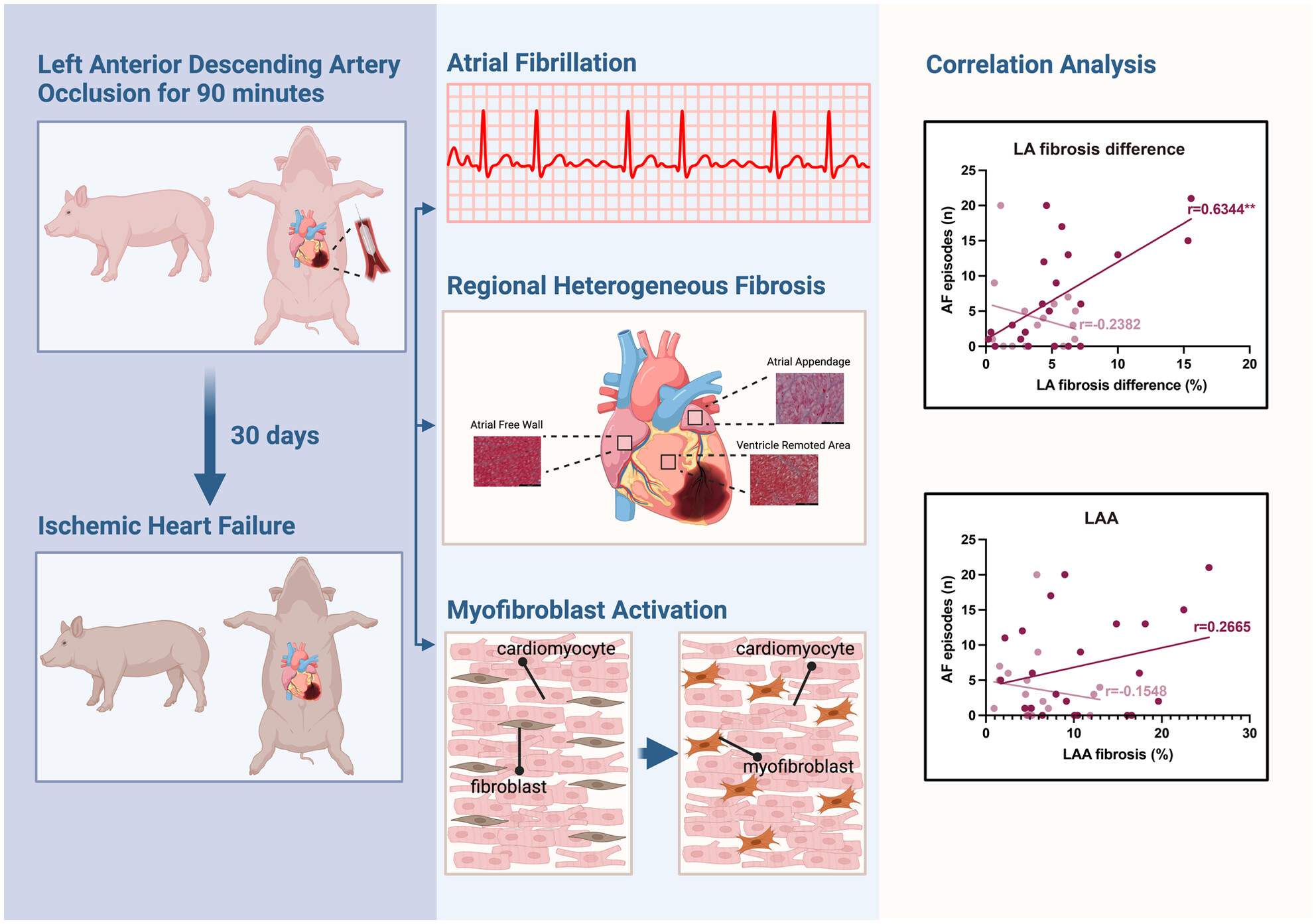 Atrial fibrosis heterogeneity is a risk for atrial fibrillation in pigs with ischaemic heart failure