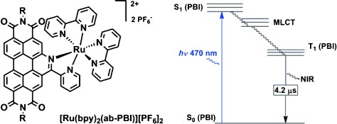 Near-IR Phosphorescent Ruthenium(II) and Iridium(III) Perylene Bisimide Metal Complexes