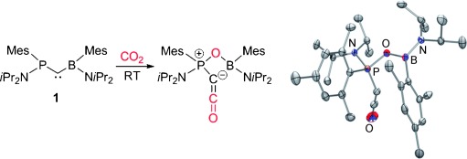 Activation of CO2 and SO2 by Boryl(phosphino)carbenes