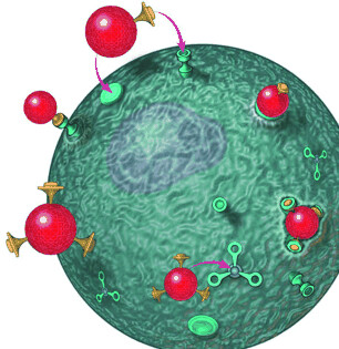 Switching the Targeting Pathways of a Therapeutic Antibody by Nanodesign