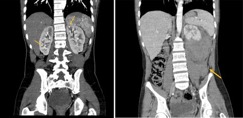 Details are in the caption following the image Details are in the caption following the image