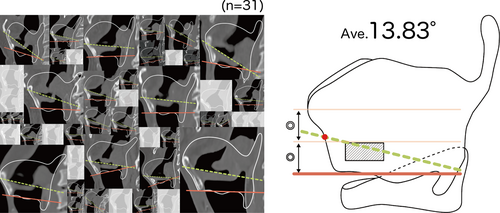 Details are in the caption following the image Details are in the caption following the image