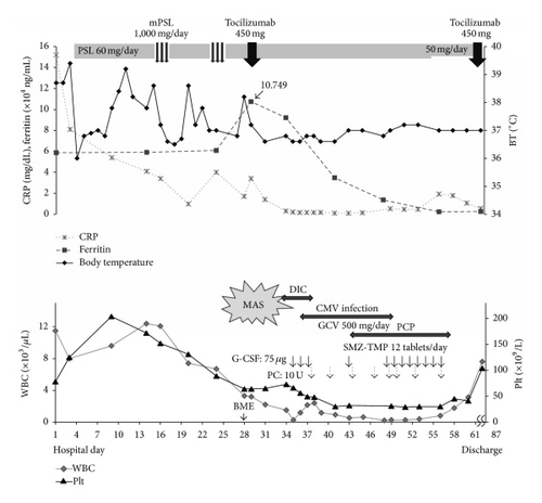 Details are in the caption following the image Details are in the caption following the image