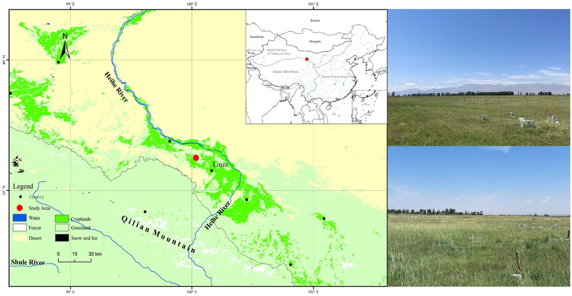 Effects of Nitrogen Forms on Soil Enzyme Activities in a Saline-Alkaline Grassland