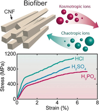 Ion-Specific Assembly of Strong, Tough, and Stiff Biofibers