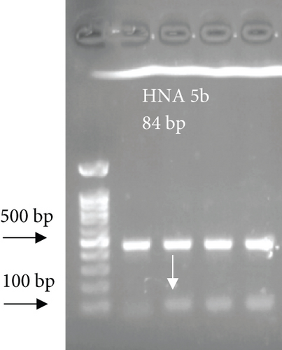 Details are in the caption following the image